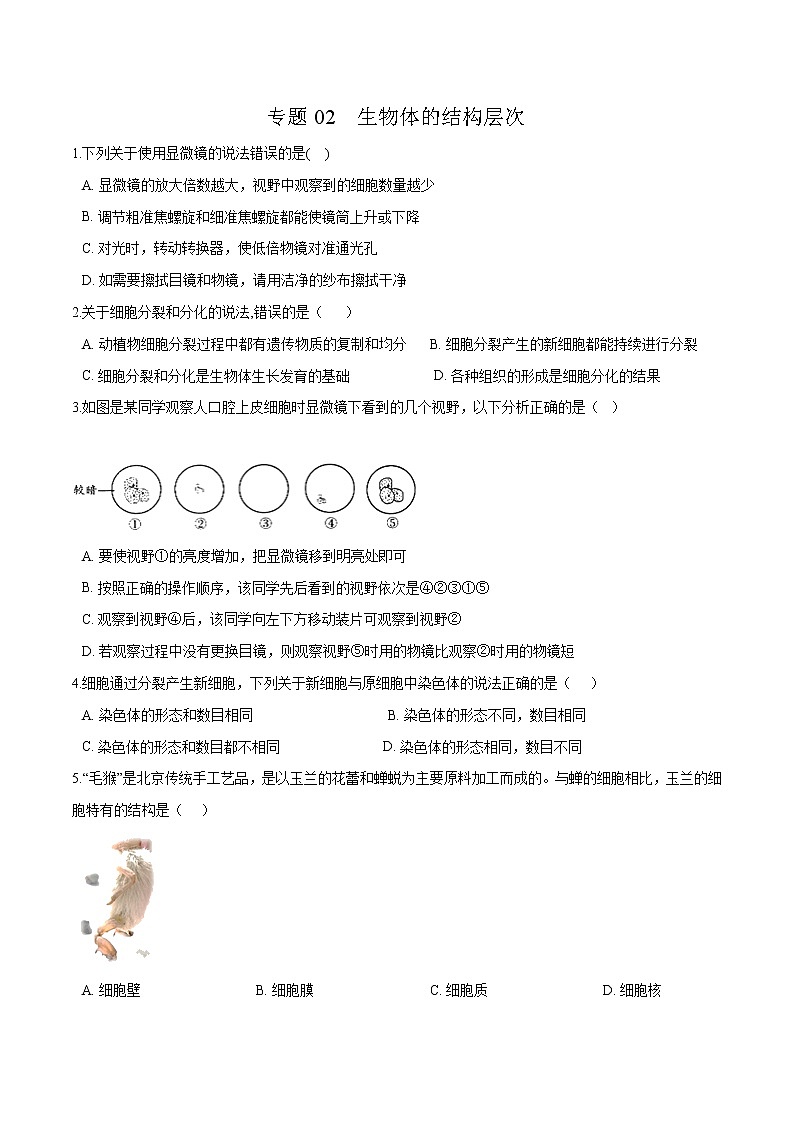 初中生物中考复习 专题02 生物体的结构层次-冲刺2020年中考生物易错点集中专项训练（原卷版）01