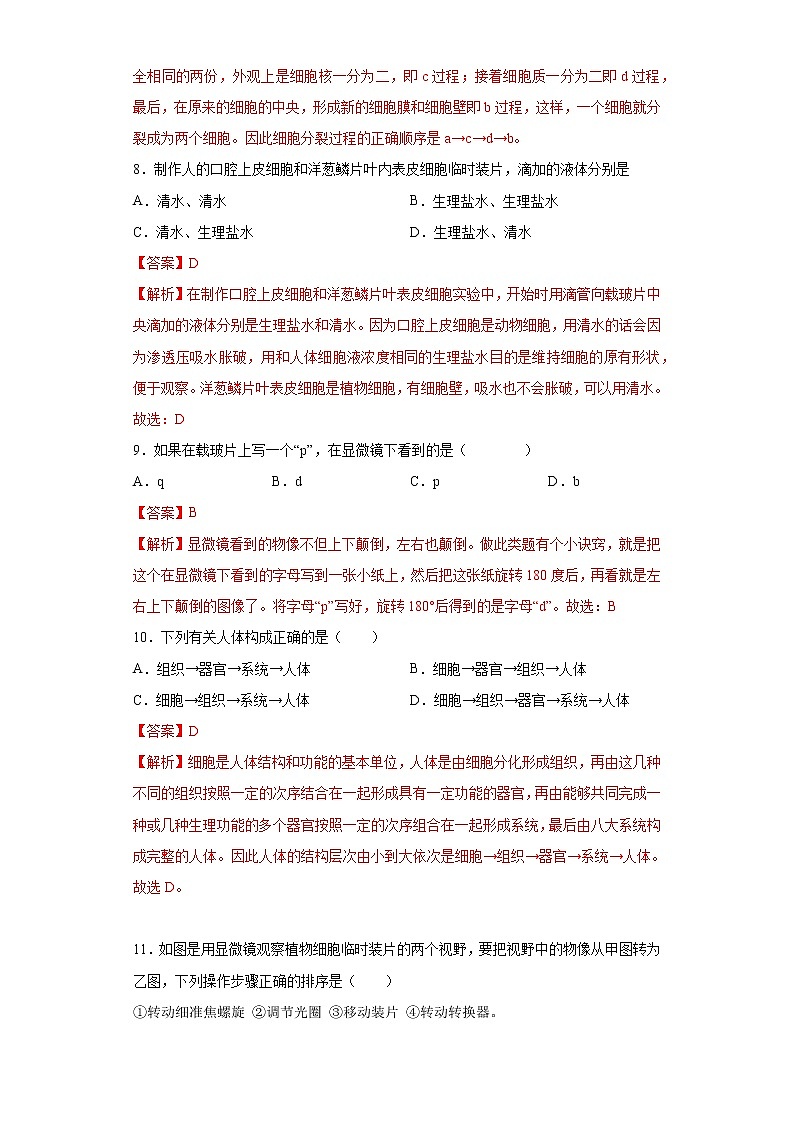 初中生物中考复习 专题02 生物体的结构层次（解析版）第3页