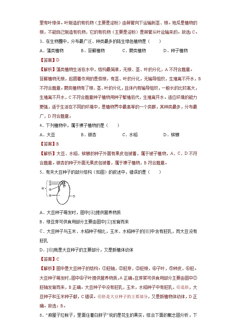 初中生物中考复习 专题03 生物圈中的绿色植物（解析版）第2页