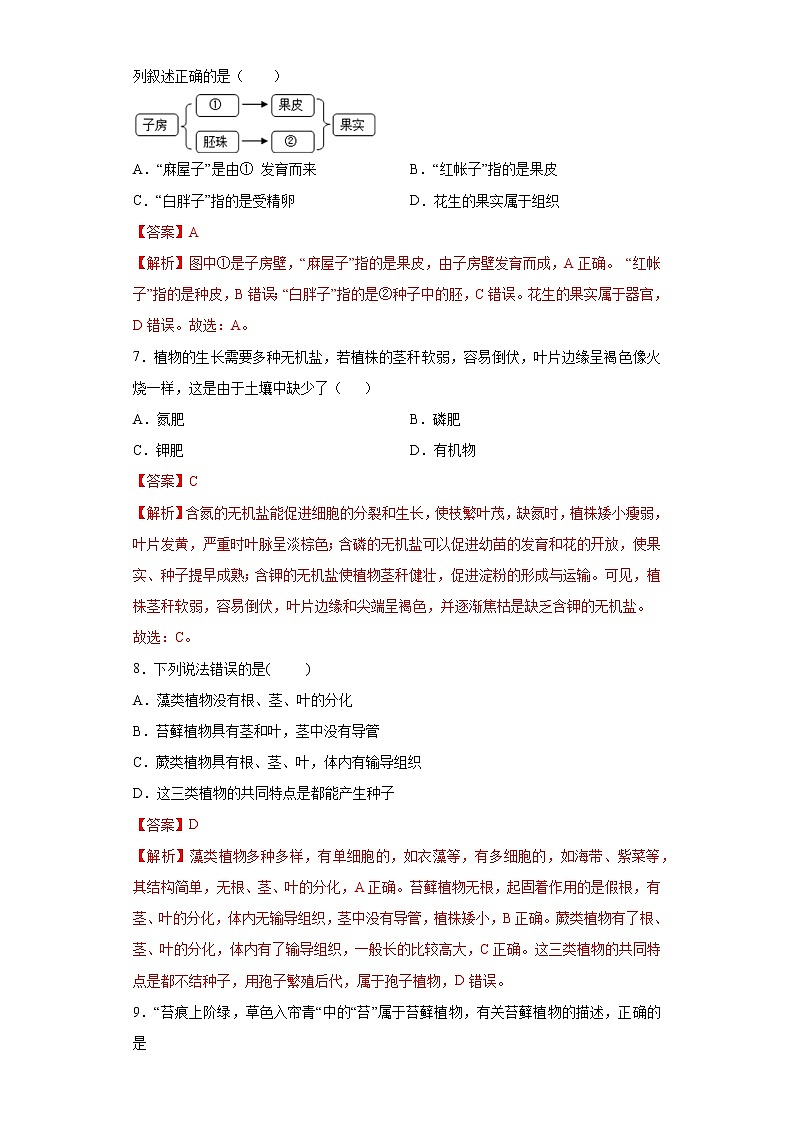 初中生物中考复习 专题03 生物圈中的绿色植物（解析版）第3页