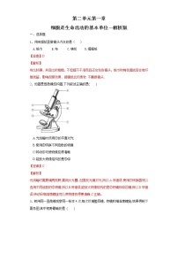 初中生物中考复习 专题02 细胞是生命活动的基本单位（练习）（解析版）