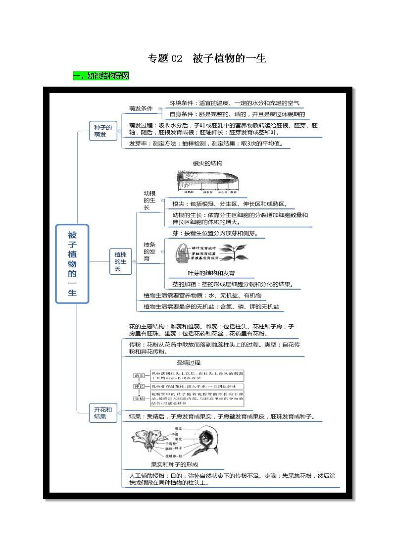 初中生物中考复习 专题02 被子植物的一生（原卷版）第1页
