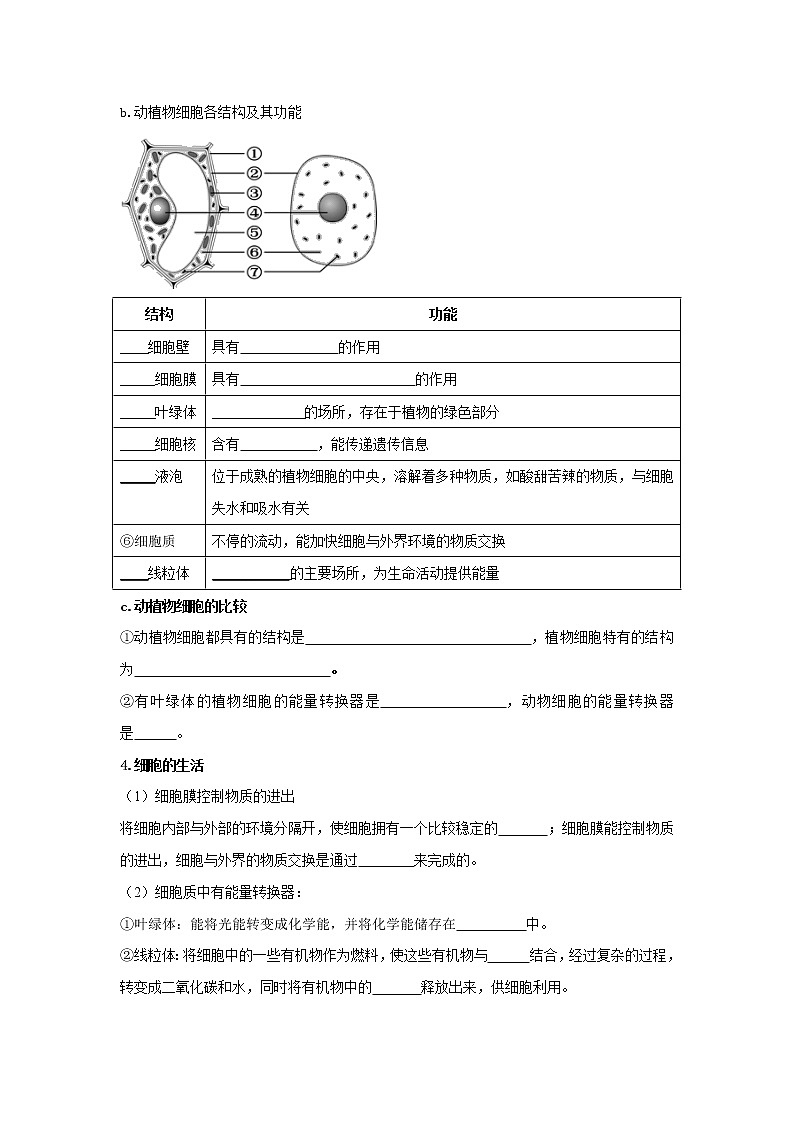 初中生物中考复习 专题02 细胞是生命活动的基本单位（原卷版）第3页