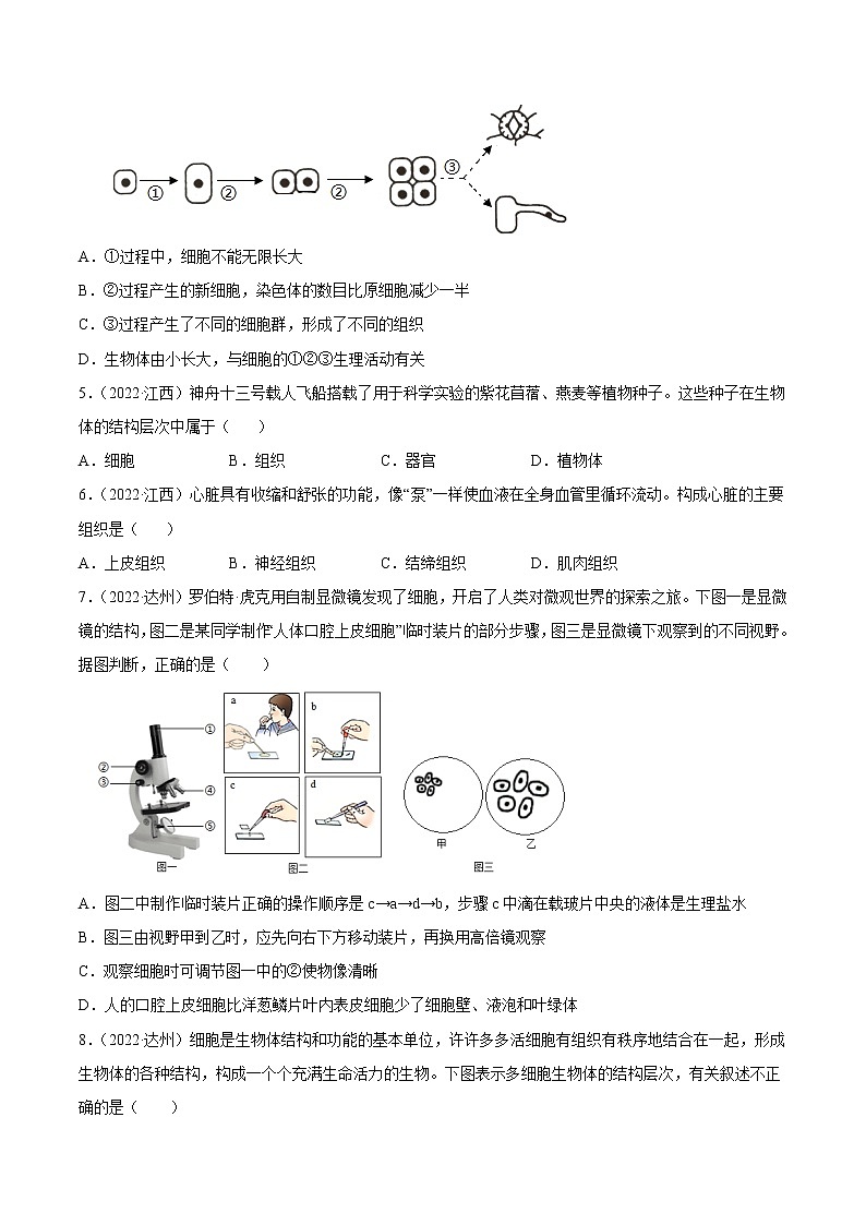 初中生物中考复习 专题02 生物体的结构层次-2022年中考生物真题分项汇编 （全国通用）（原卷版）02
