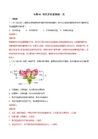 初中生物中考复习 专题03 绿色开花植物的一生-2022年中考生物真题分项汇编 （全国通用）（解析版）