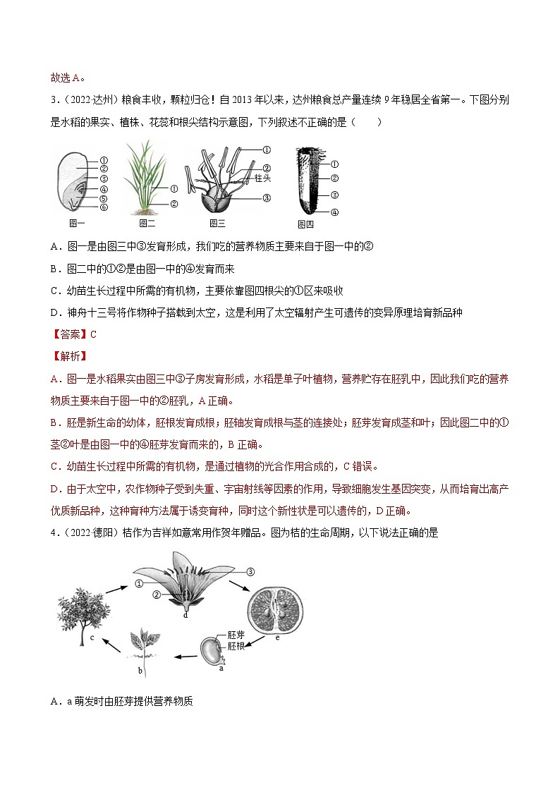 初中生物中考复习 专题03 绿色开花植物的一生-2022年中考生物真题分项汇编 （全国通用）（解析版）02