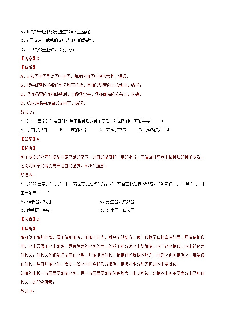 初中生物中考复习 专题03 绿色开花植物的一生-2022年中考生物真题分项汇编 （全国通用）（解析版）03