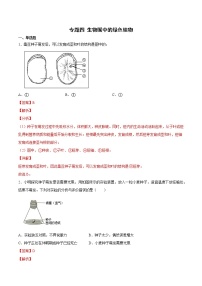 初中生物中考复习 专题04 生物圈中的绿色植物（综合提分练）-【过专题】2022年中考生物二轮精准高效复习（解析版）