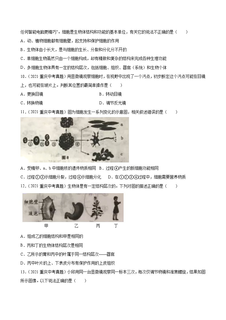 初中生物中考复习 专题02 生物体的结构层次-2021年中考生物真题分项汇编（全国通用）（第1期）（原卷版）第3页