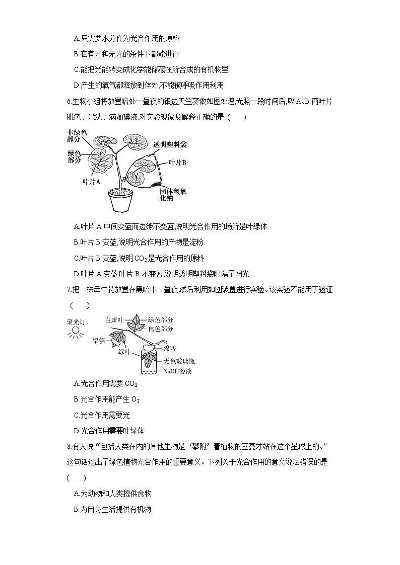初中生物中考复习 专题07 绿色植物的光合作用（练习）（原卷版）02