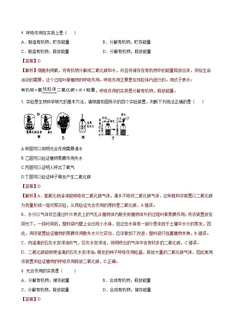初中生物中考复习 专题06 绿色植物的光合作用和呼吸作用（解析版）第3页