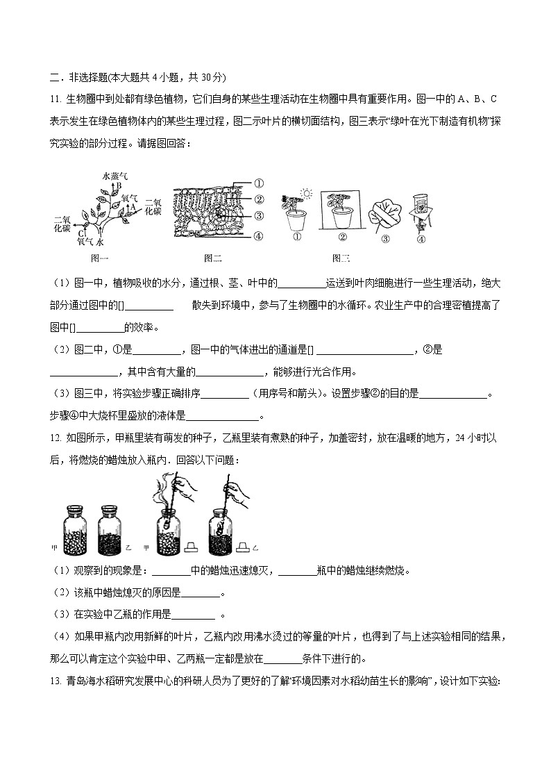 初中生物中考复习 专题06 绿色植物的光合作用和呼吸作用（原卷版）第3页