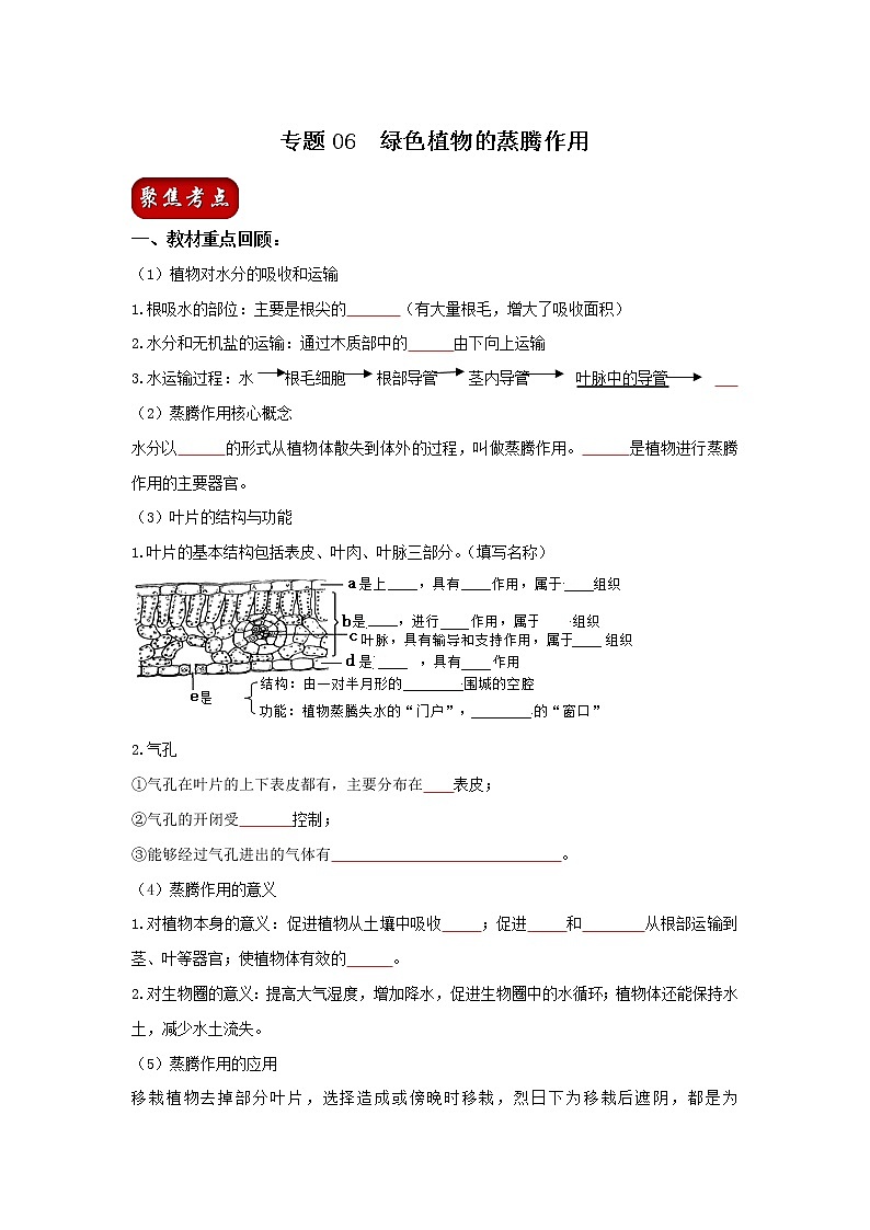 初中生物中考复习 专题06 绿色植物的蒸腾作用（原卷版）第1页