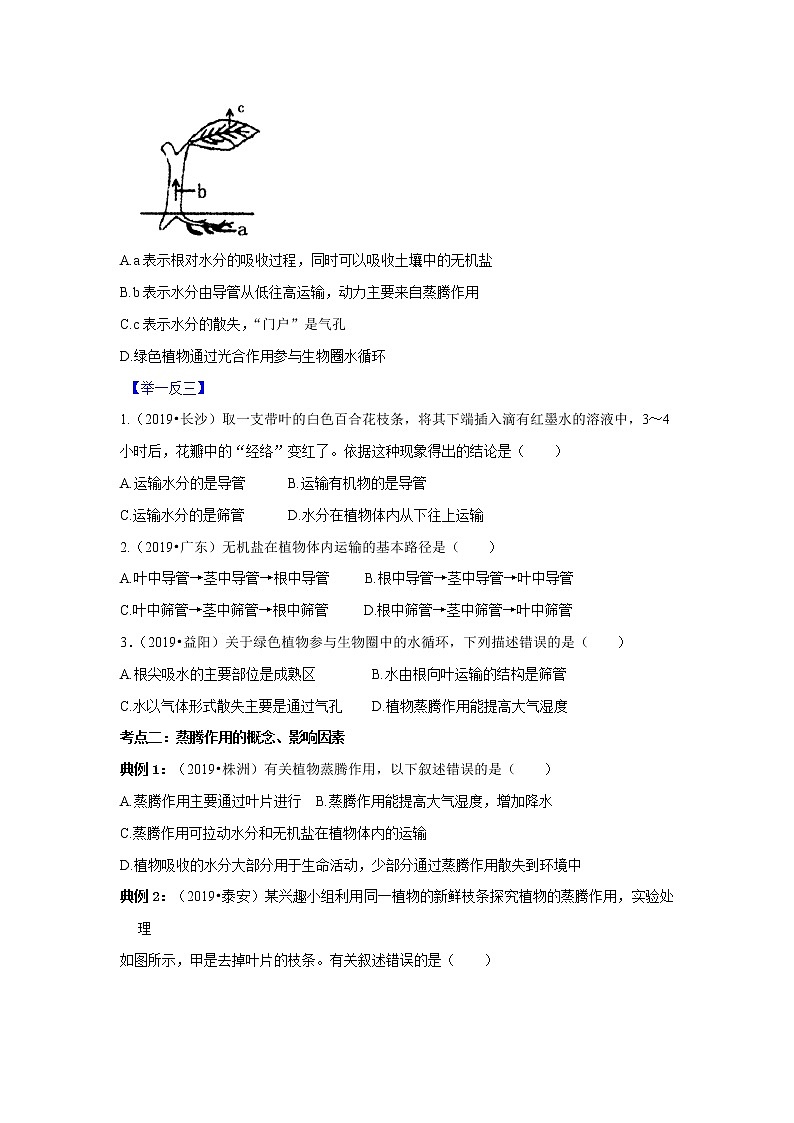 初中生物中考复习 专题06 绿色植物的蒸腾作用（原卷版）第3页
