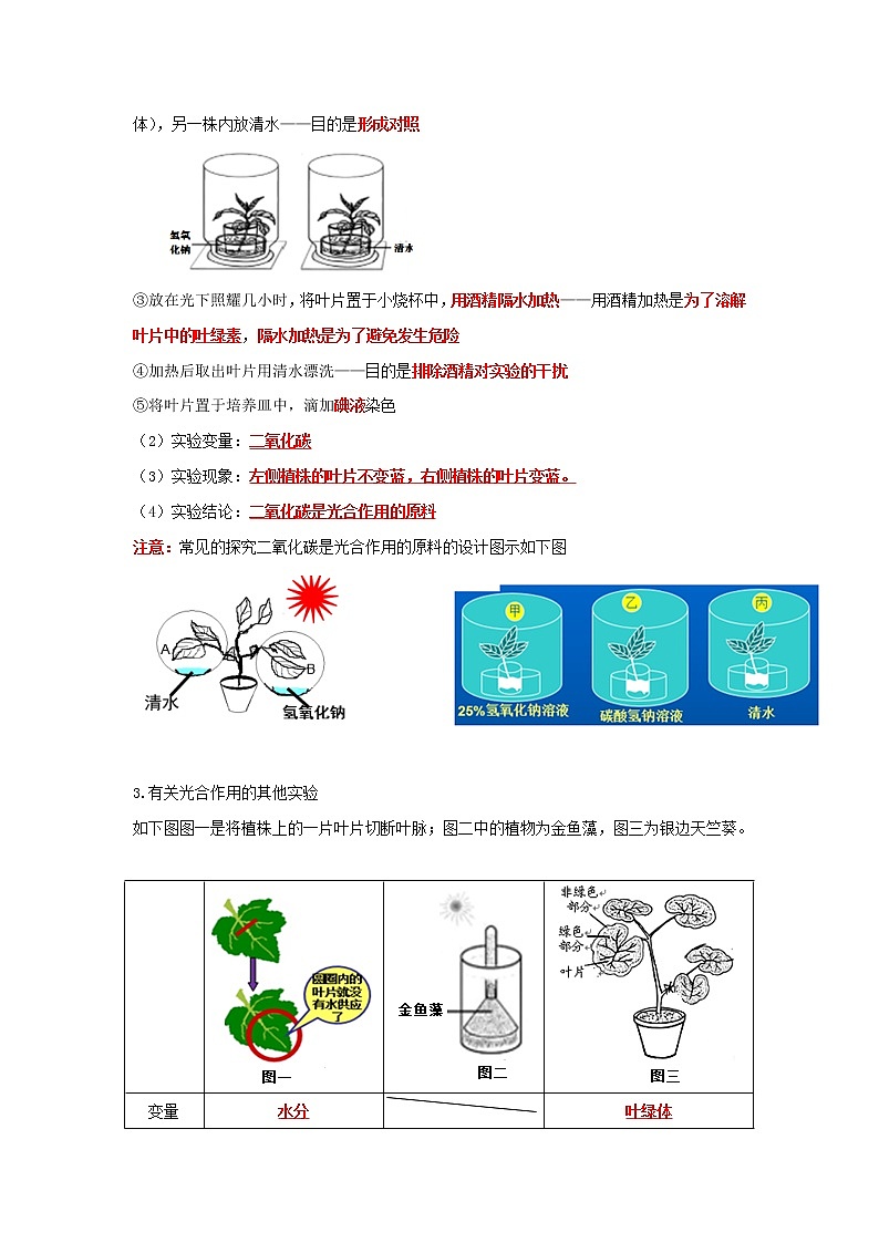 初中生物中考复习 专题07 绿色植物的光合作用和呼吸作用（解析版）第2页