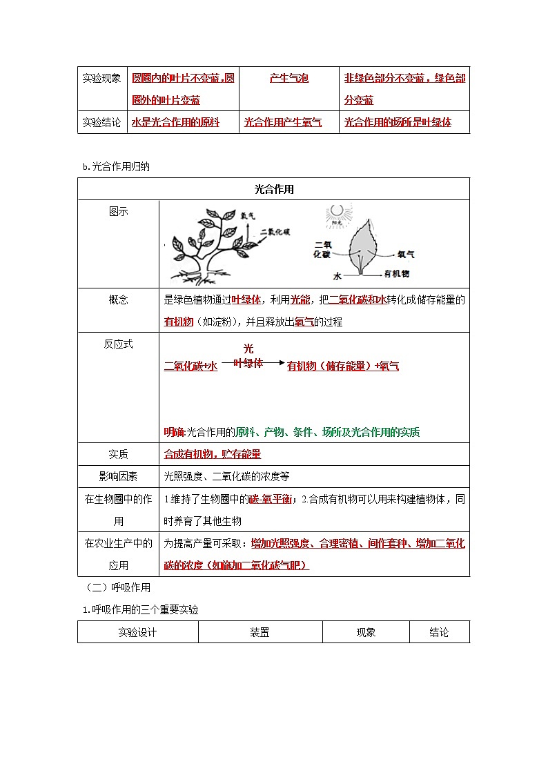 初中生物中考复习 专题07 绿色植物的光合作用和呼吸作用（解析版）第3页