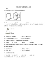 初中生物中考复习 专题04 生物圈中的绿色植物（综合提分练）-【过专题】2022年中考生物二轮精准高效复习（原卷版）