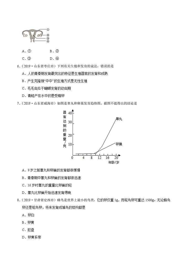 初中生物中考复习 专题06 生物的生殖、发育与遗传（第01期）-2019年中考真题生物试题分项汇编（原卷版）02