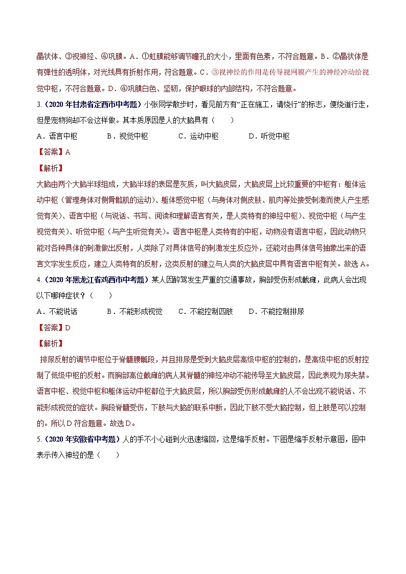 初中生物中考复习 专题07 人体生命活动的调节-2020年中考生物真题分项汇编（全国通用）（解析版）第2页