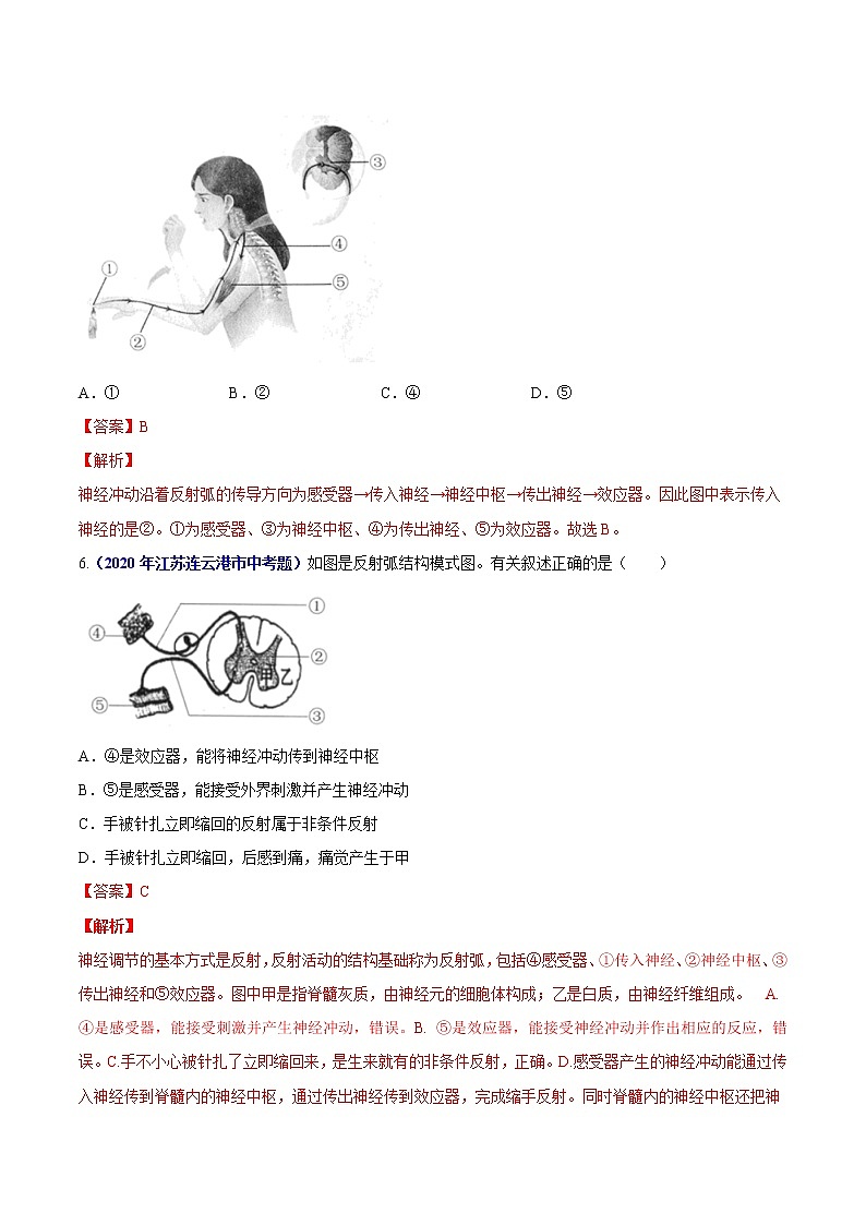 初中生物中考复习 专题07 人体生命活动的调节-2020年中考生物真题分项汇编（全国通用）（解析版）第3页
