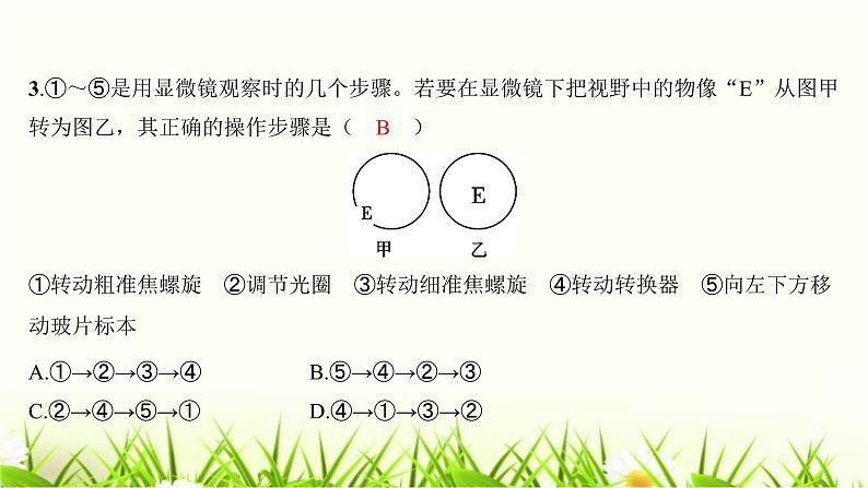 2023年广东省初中学业水平考试生物学仿真试卷（二）课件03