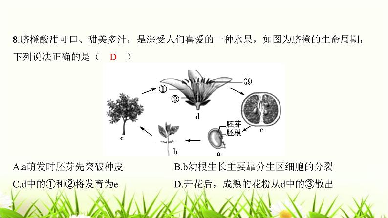 2023年广东省初中学业水平考试生物学仿真试卷（二）课件06