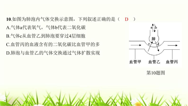 2023年广东省初中学业水平考试生物学仿真试卷（三）课件08
