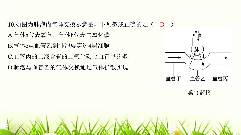 2023年广东省初中学业水平考试生物学仿真试卷（三）课件08