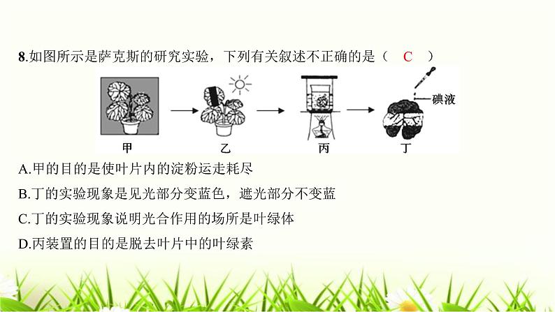 2023年广东省初中学业水平考试生物学仿真试卷（四）课件06