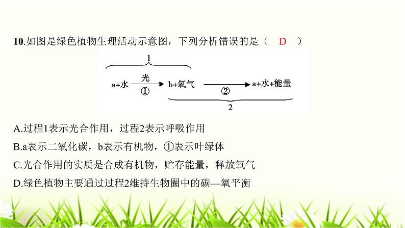 2023年广东省初中学业水平考试生物学仿真试卷（四）课件08