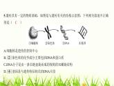 2023年广东省初中学业水平考试生物学仿真试卷（五）课件