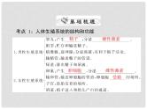 初中生物中考复习 专题05 生物的生殖和发育-冲刺2022年中考生物重点难点热点突破精讲课件