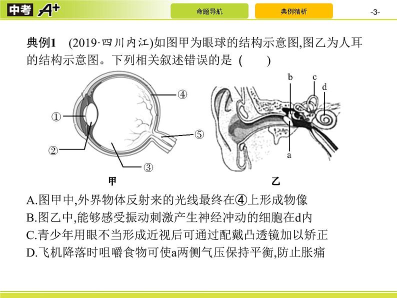 初中生物中考复习 专题5　生物圈中的人(二)课件PPT03