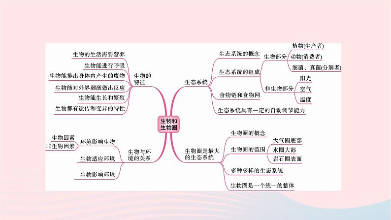 初中生物中考复习 中考生物总复习第一部分基醇点巩固第一单元生物和生物圈课件第2页