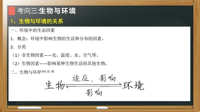 初中生物中考复习 专题01 生物和生物圈2022年中考生物复习核心考点复习课件第8页