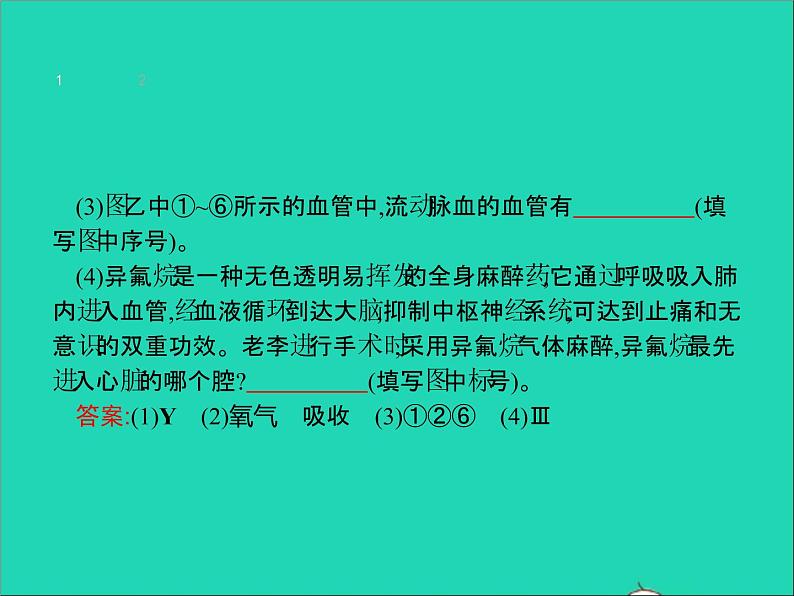 初中生物中考复习 中考生物总复习专题四生物圈中的人课件05