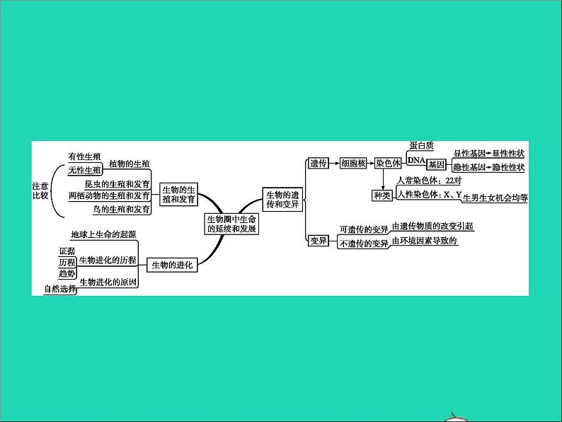初中生物中考复习 中考生物总复习专题七生物圈中生命的延续和发展课件第2页