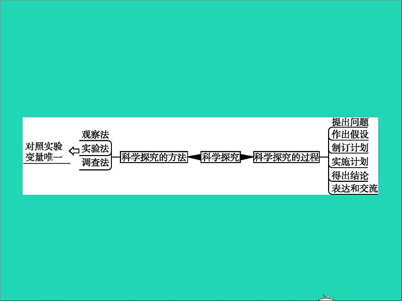 初中生物中考复习 中考生物总复习专题十科学探究课件第2页