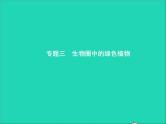 初中生物中考复习 中考生物总复习专题三生物圈中的绿色植物课件
