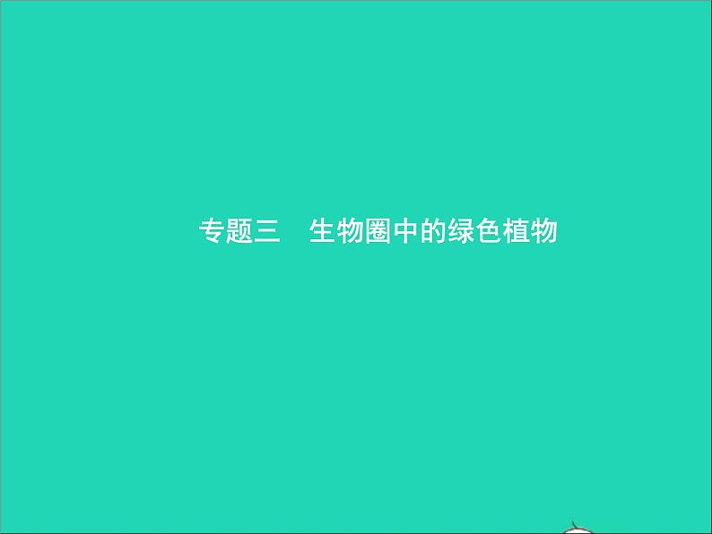 初中生物中考复习 中考生物总复习专题三生物圈中的绿色植物课件01