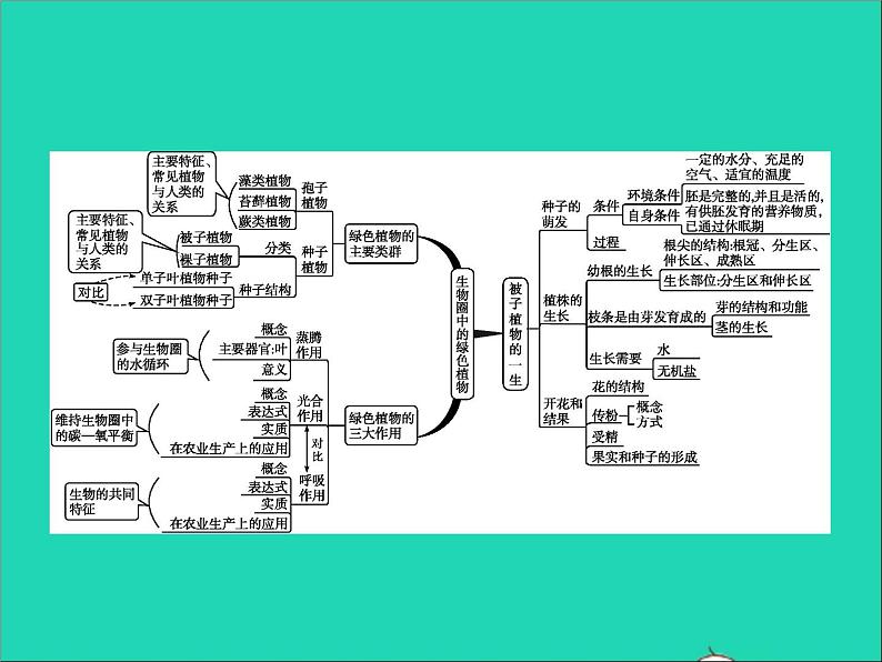 初中生物中考复习 中考生物总复习专题三生物圈中的绿色植物课件02