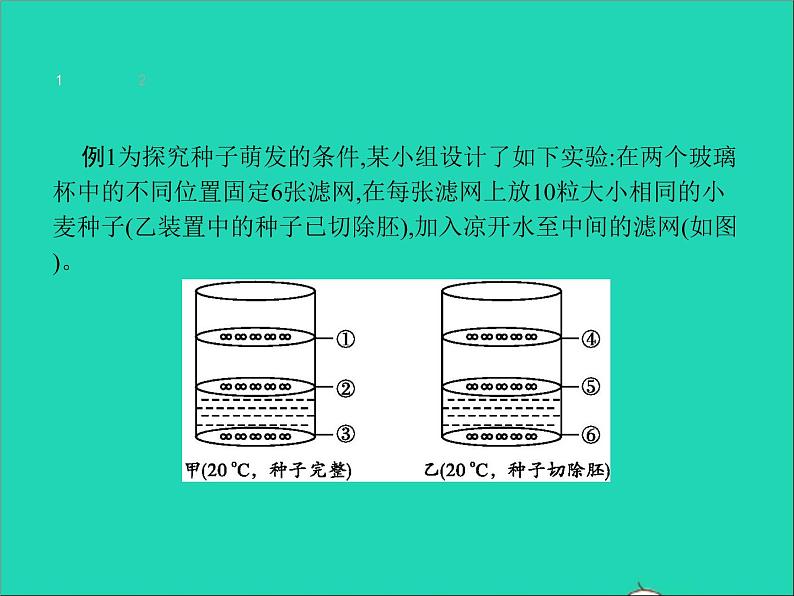 初中生物中考复习 中考生物总复习专题三生物圈中的绿色植物课件04