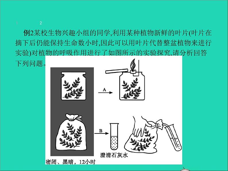 初中生物中考复习 中考生物总复习专题三生物圈中的绿色植物课件08