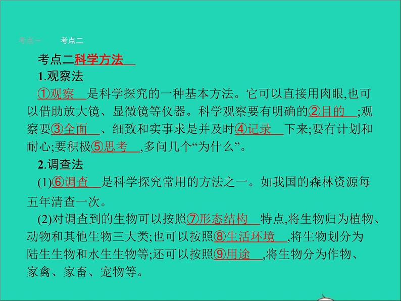 初中生物中考复习 中考生物总复习第一讲认识生物课件06