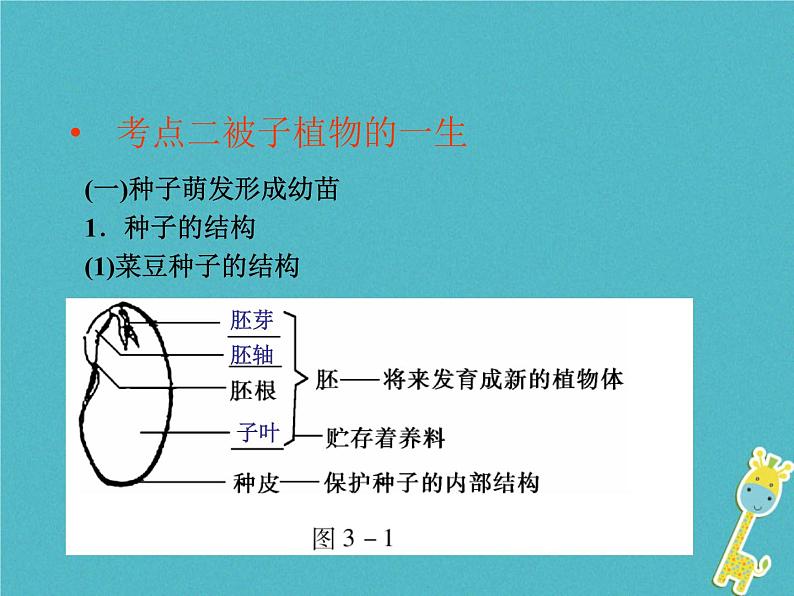 初中生物中考复习 中考生物会考总复习主题三生物圈的绿色植物课件新人教版第4页