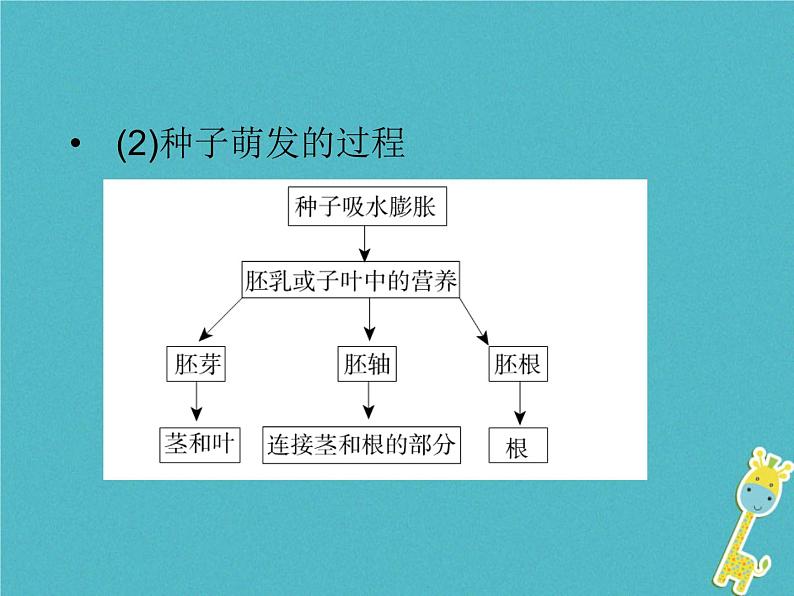 初中生物中考复习 中考生物会考总复习主题三生物圈的绿色植物课件新人教版第8页