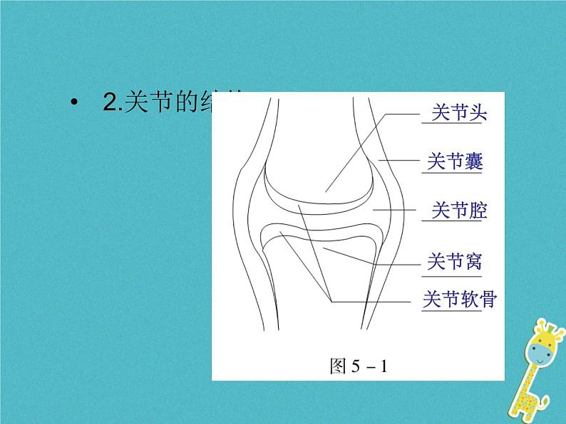 初中生物中考复习 中考生物会考总复习主题五动物的运动和行为课件新人教版03