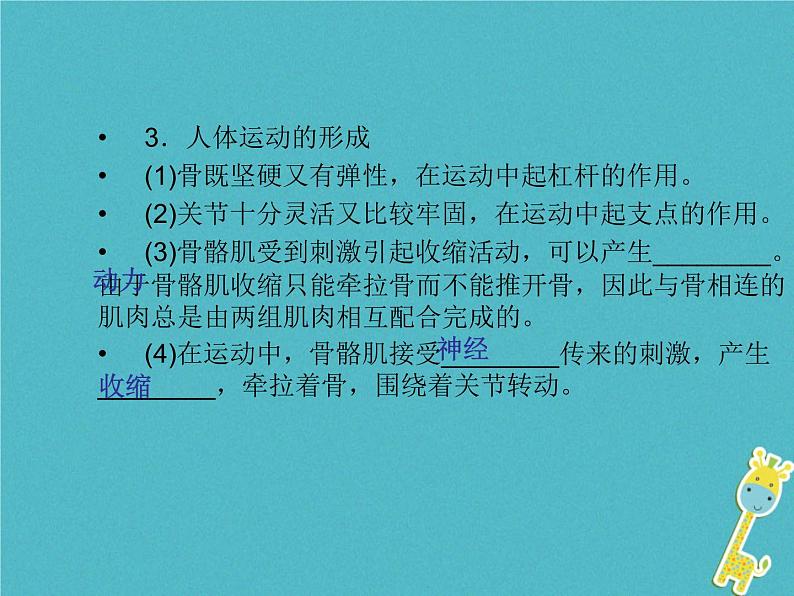 初中生物中考复习 中考生物会考总复习主题五动物的运动和行为课件新人教版05