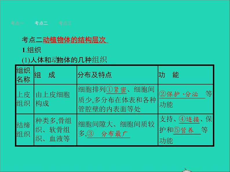 初中生物中考复习 中考生物总复习第四讲细胞怎样构成生物体课件第5页