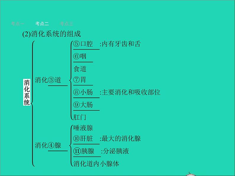 初中生物中考复习 中考生物总复习第十讲人体的营养课件07